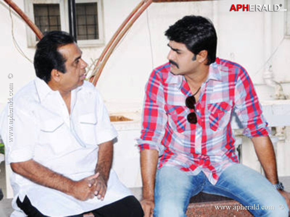 Bramhanandam rare pics