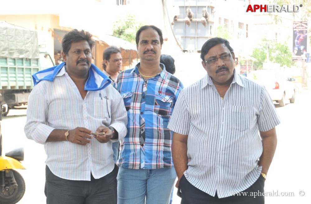 Bunny n Cherry Working Stills