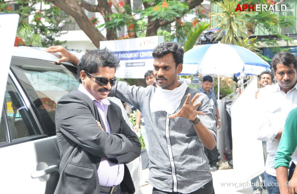 Bunny n Cherry Working Stills