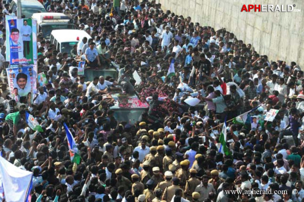 Celebrations at Jagan Release