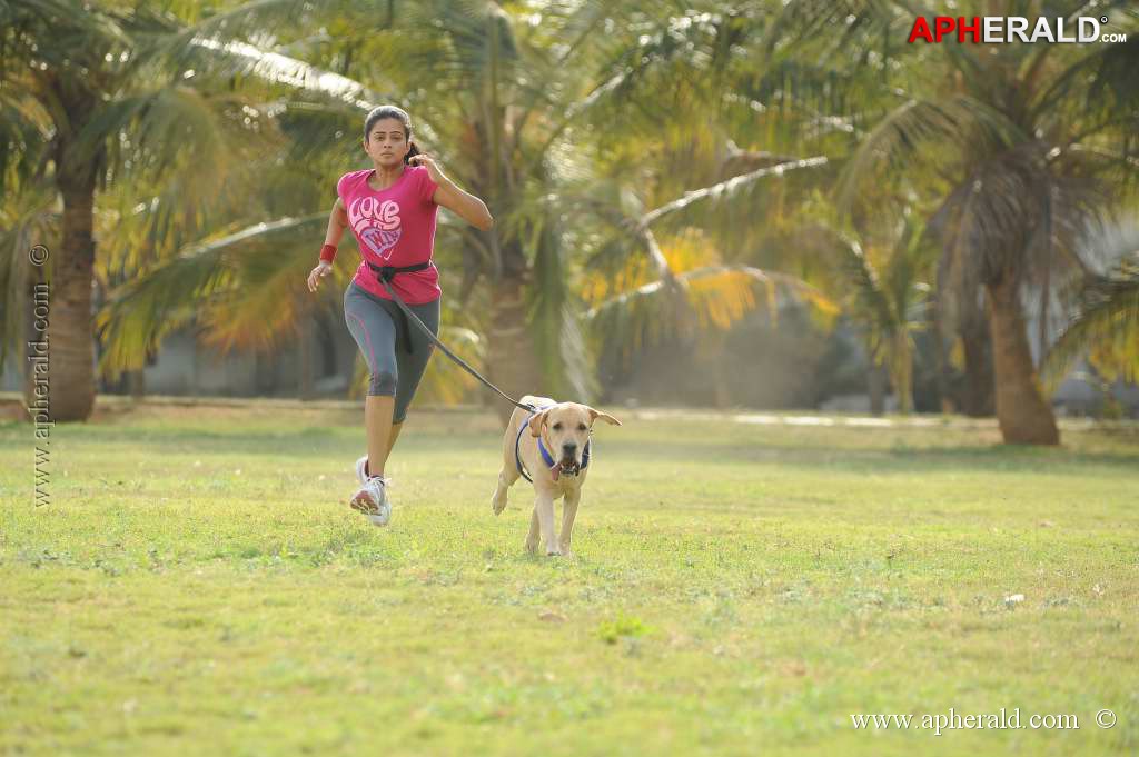 Chandi Movie New Stills