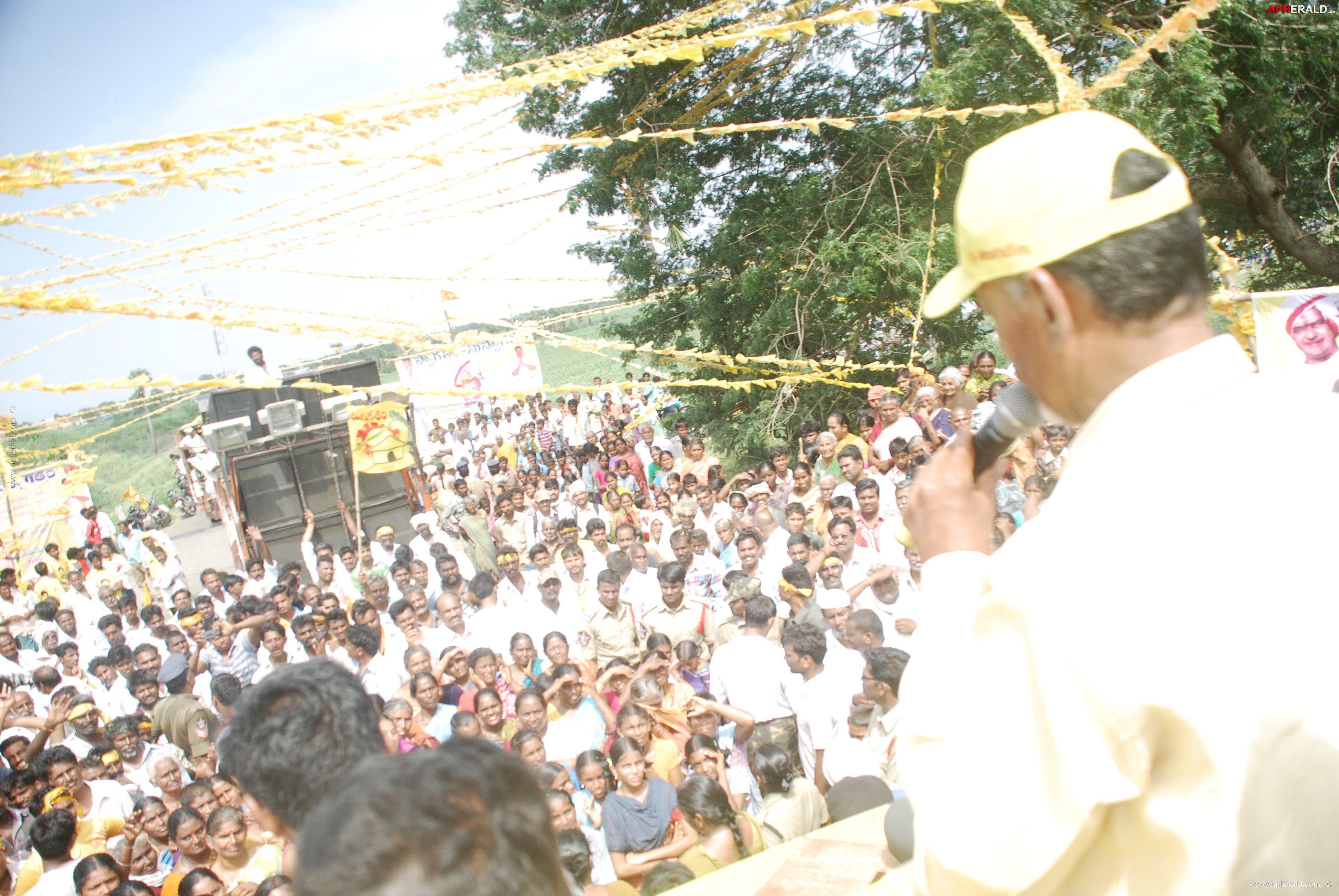 Chandra Babu Atma Gaurava Yatra Pics