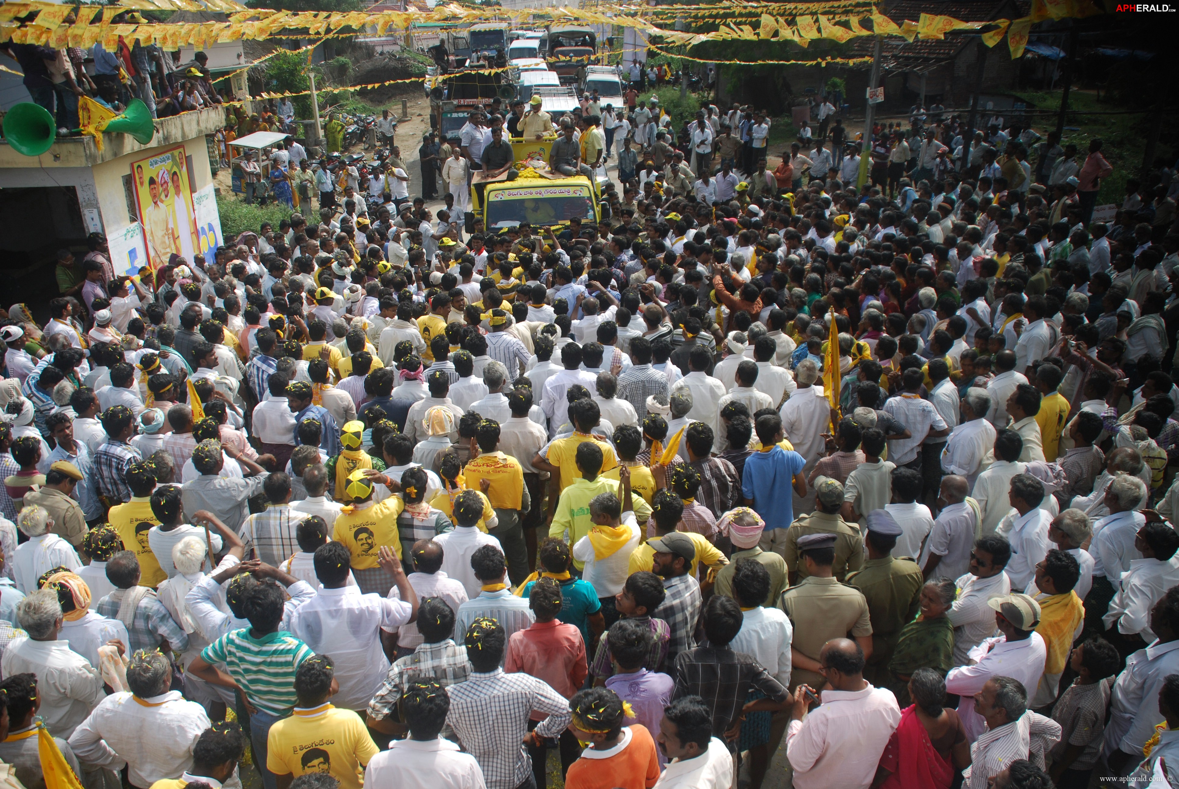 Chandra Babu Atma Gaurava Yatra Pics