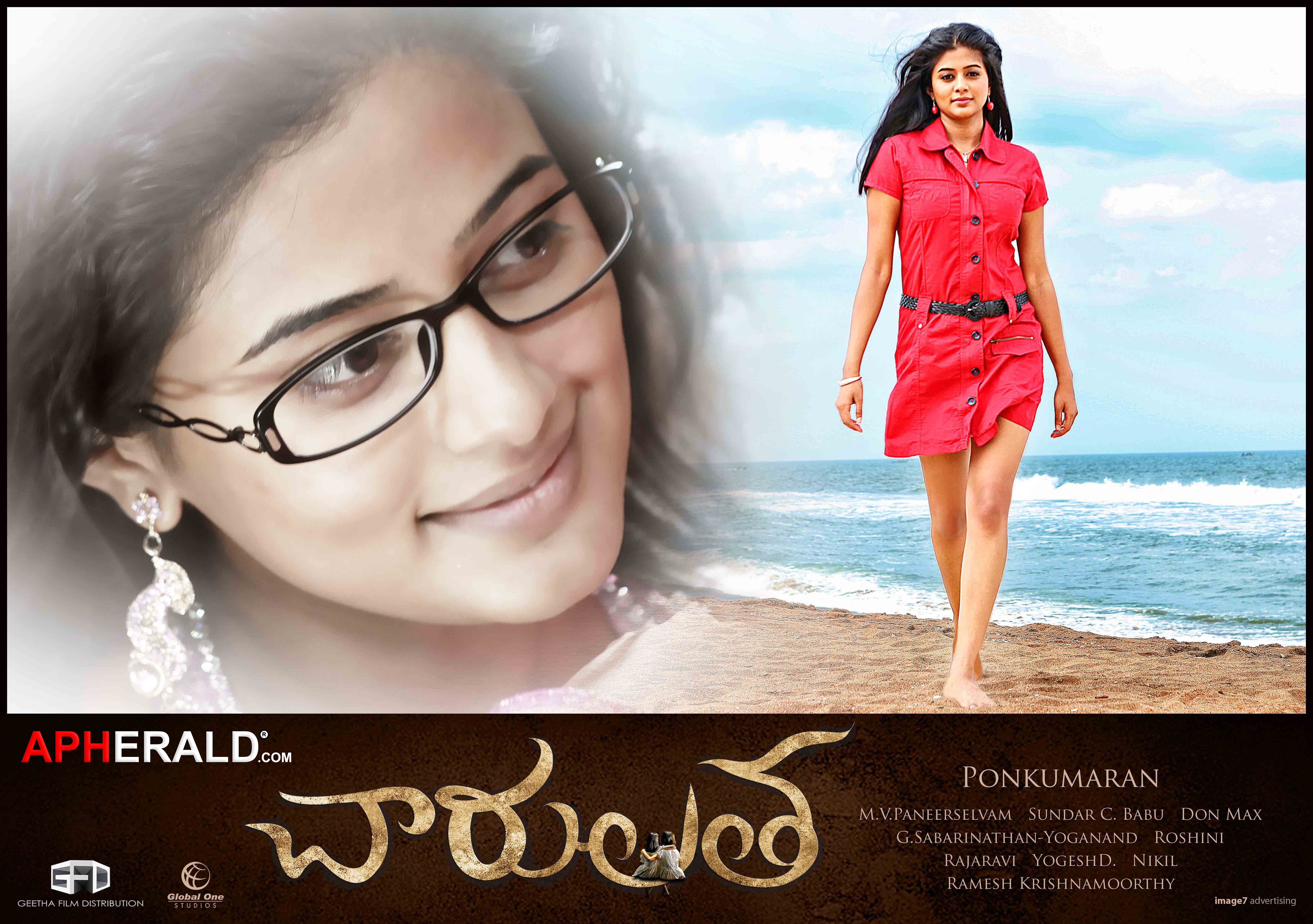 Charulatha Telugu Movie  Posters -  Priyamani