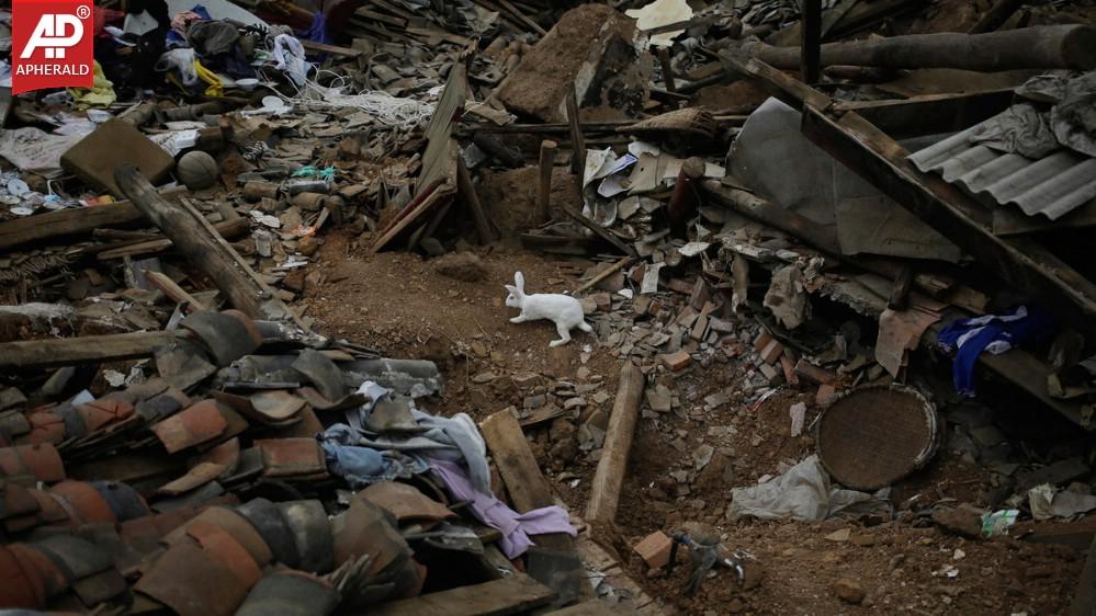 China Earthquake Photos