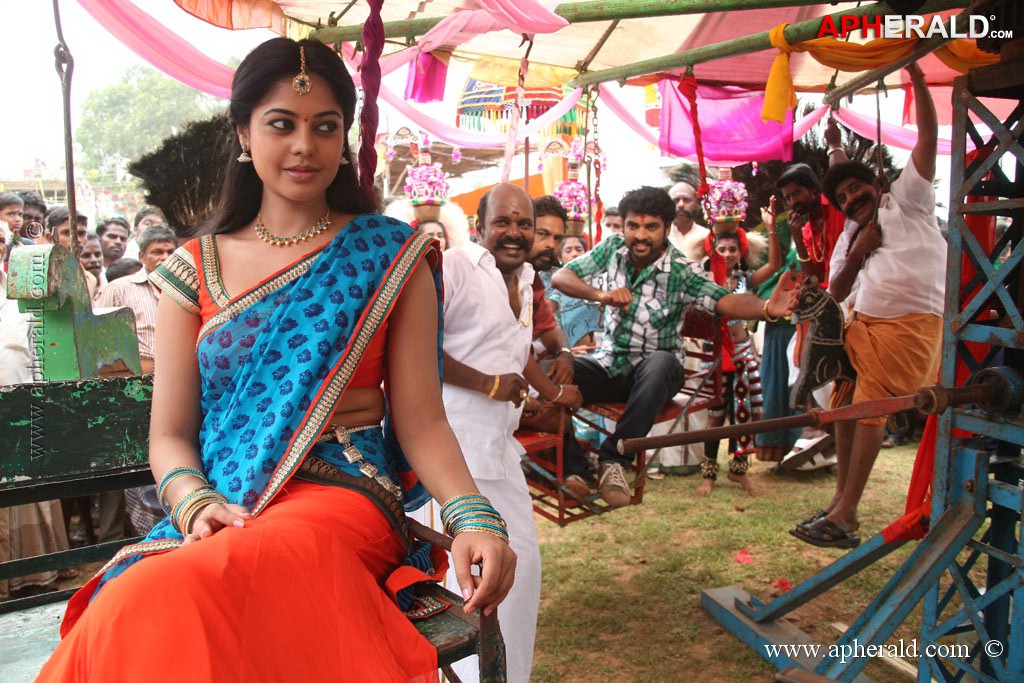Dhesingu Raja Tamil Movie Photos