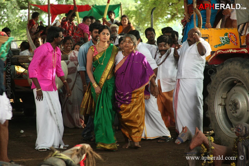 Dhesingu Raja Tamil Movie Photos