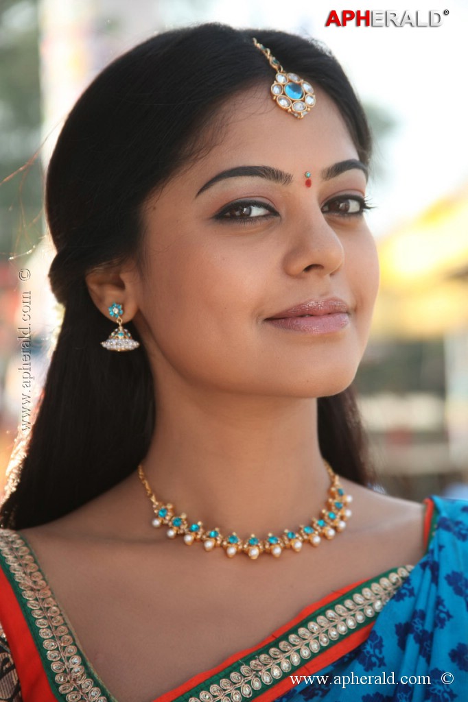 Dhesingu Raja Tamil Movie Photos