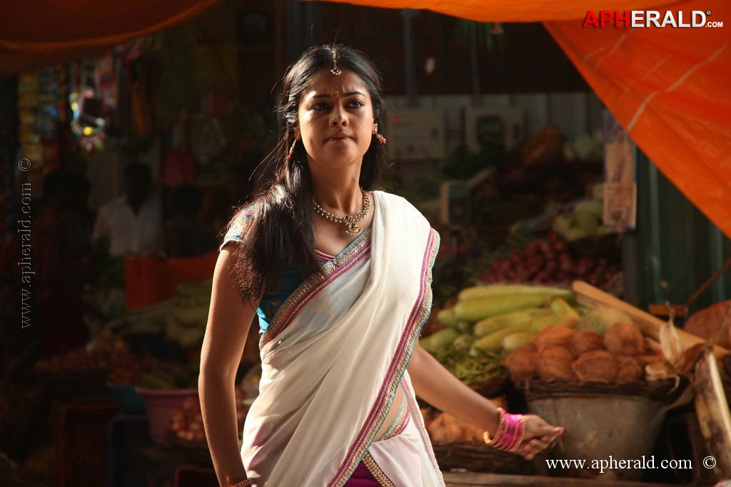 Dhesingu Raja Tamil Movie Photos