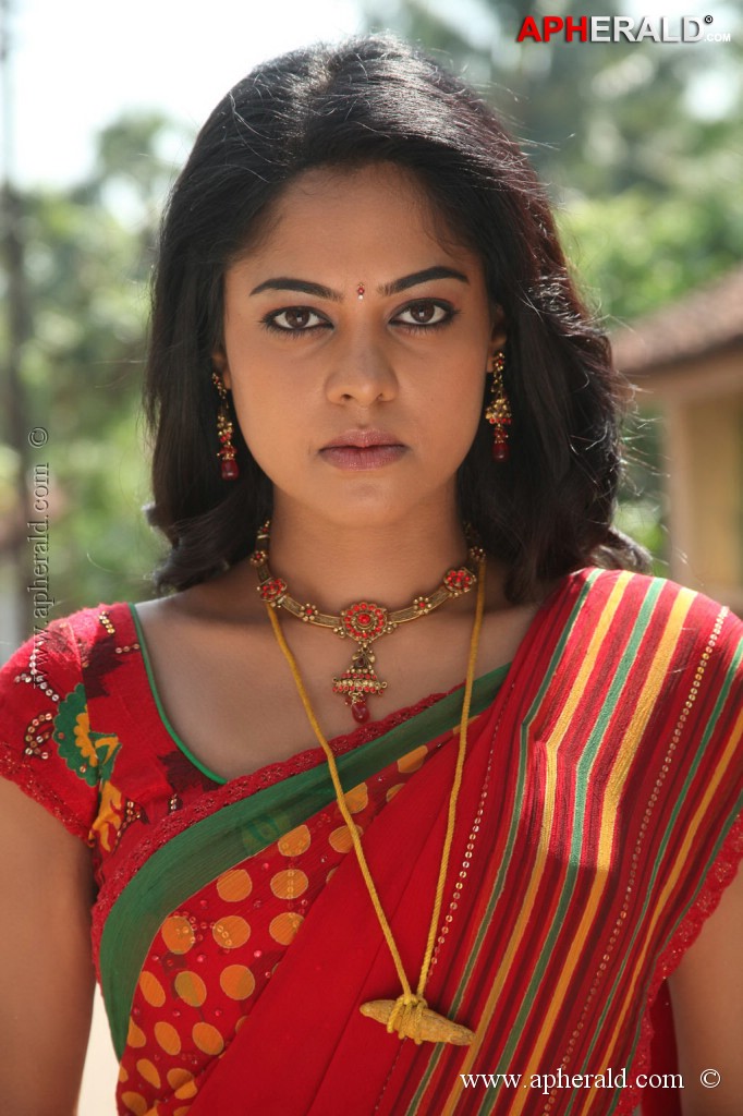 Dhesingu Raja Tamil Movie Photos