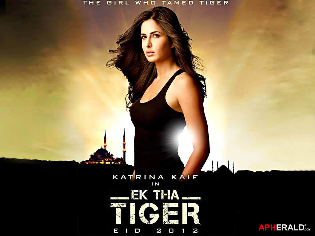Ek Tha Tiger Wallpaper