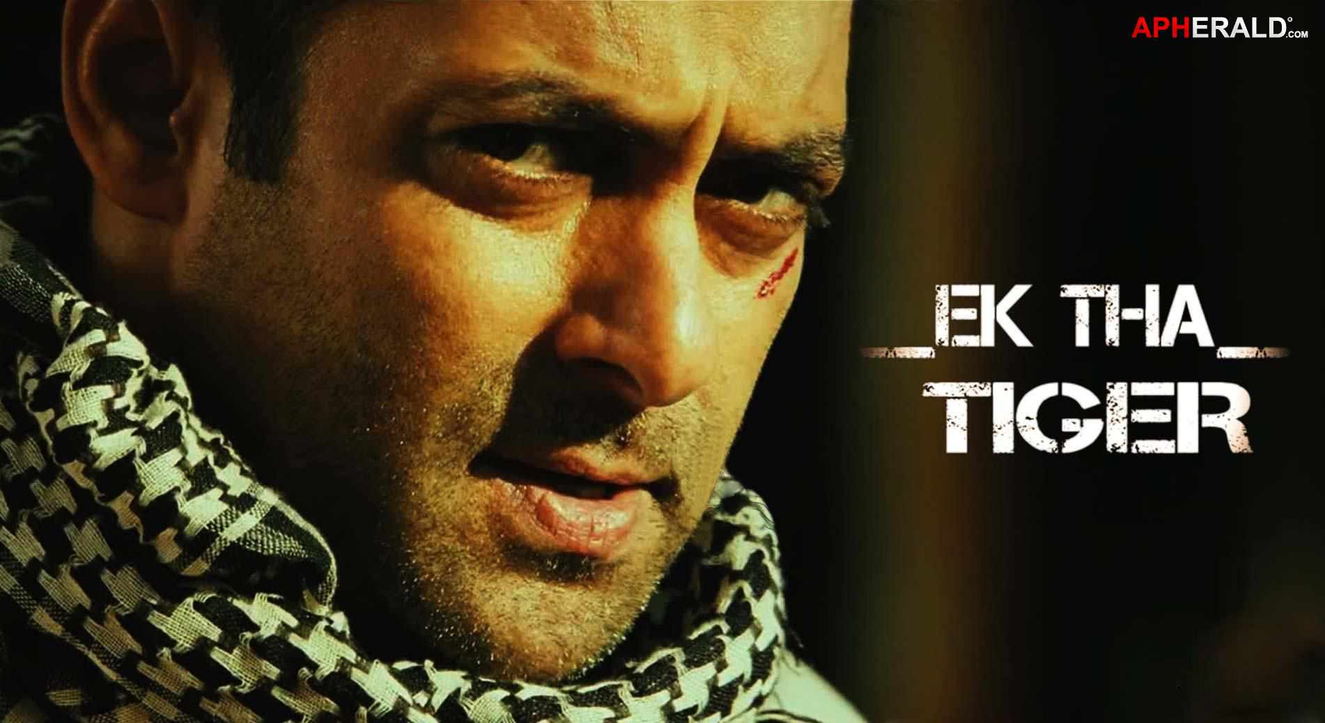 Ek Tha Tiger Wallpaper