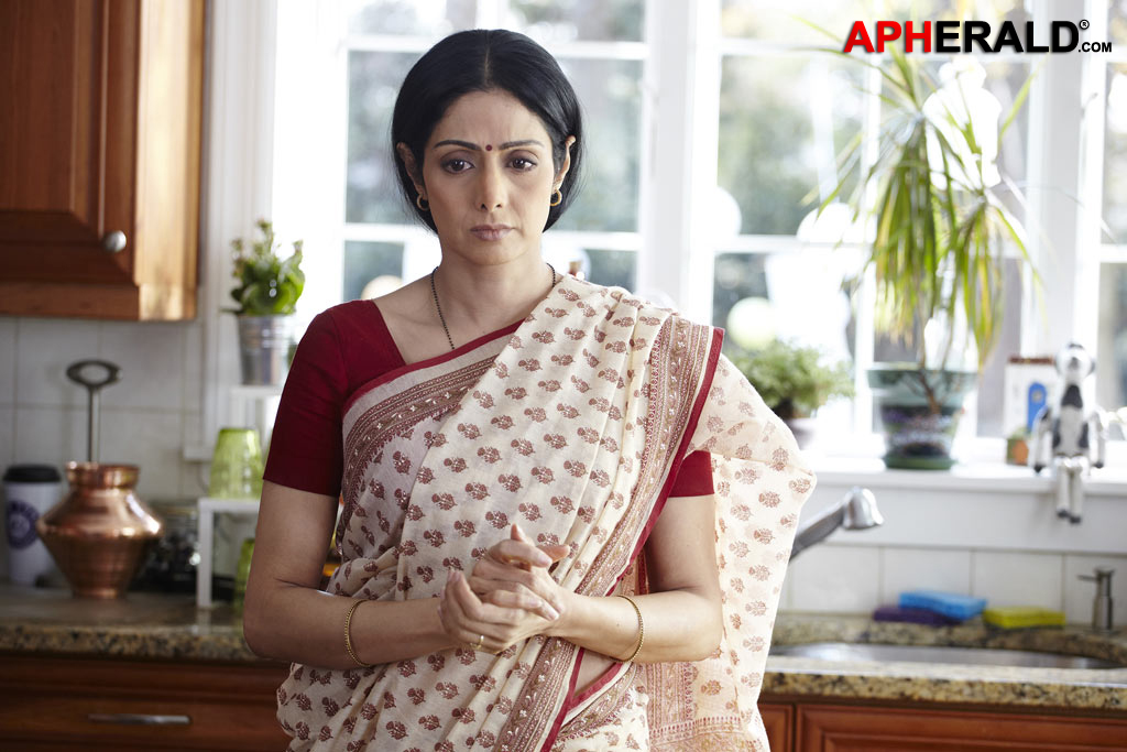 English Vinglish Stills