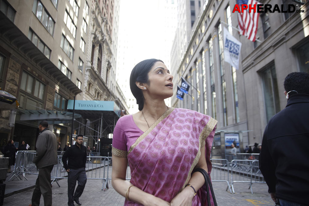 English Vinglish Stills