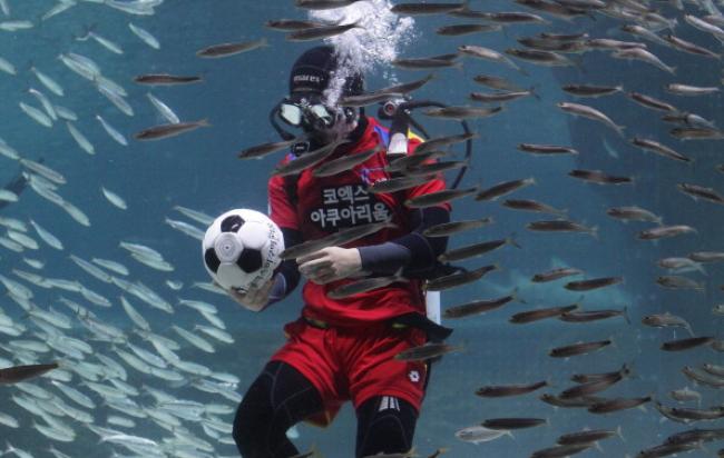 FIFA World Cup