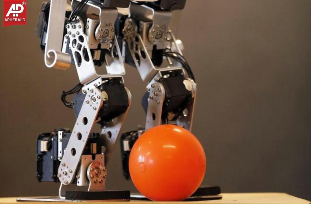 Football Playing Robots