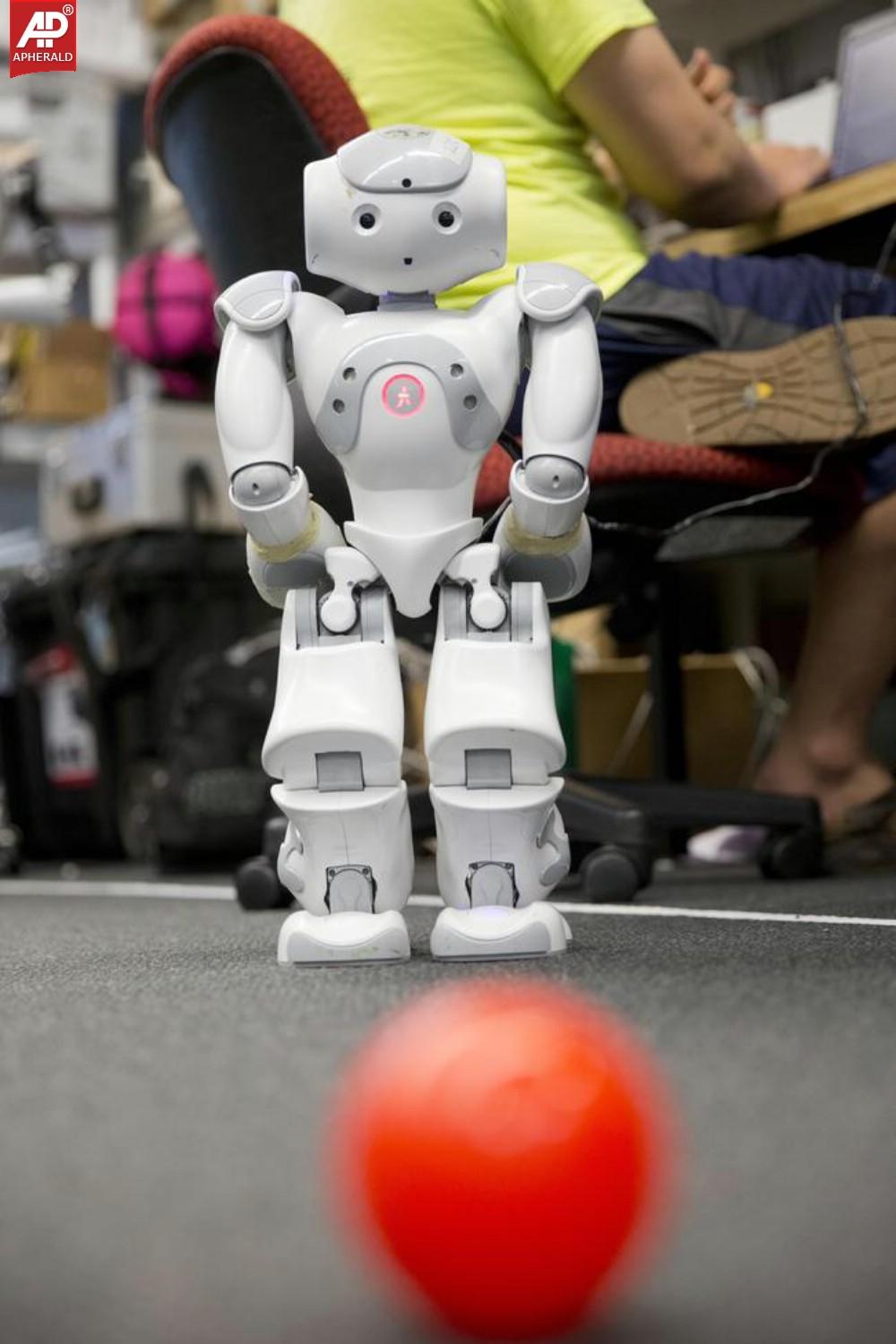 Football Playing Robots