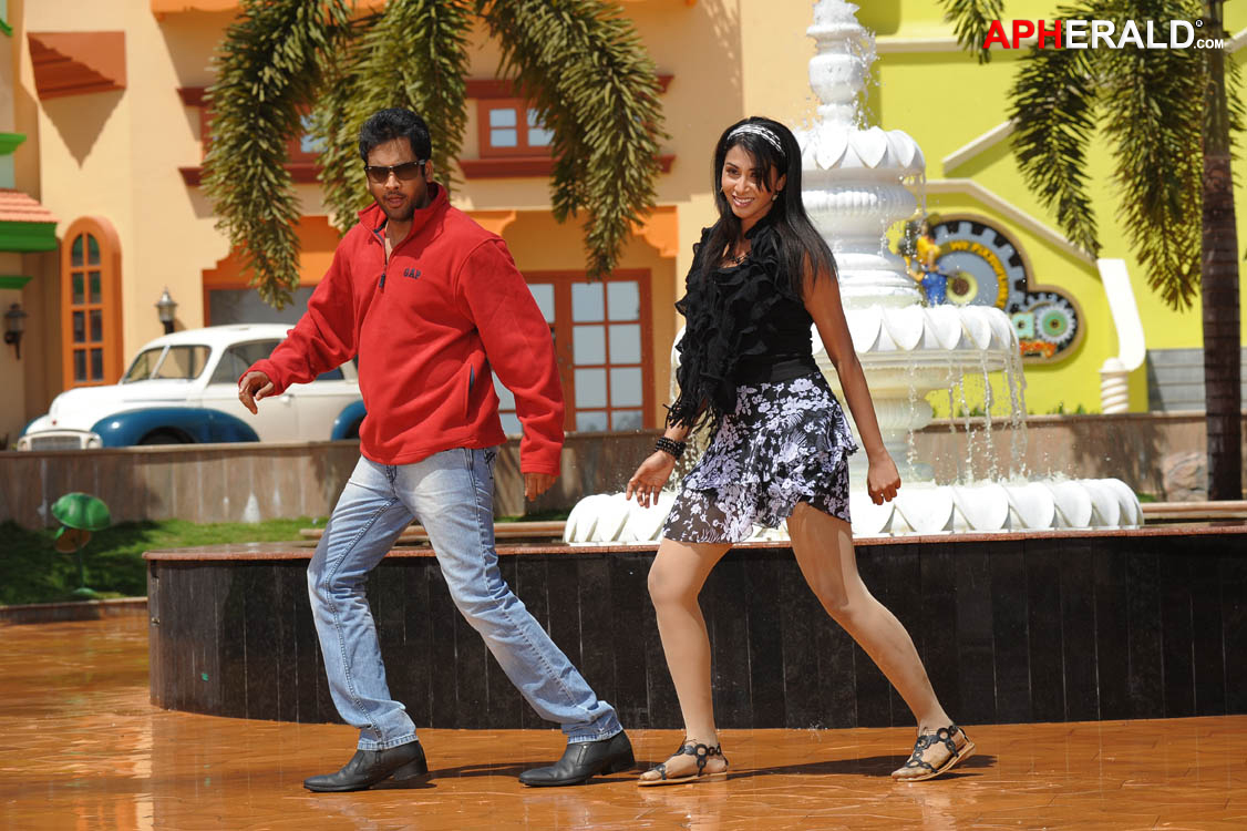 a sample image