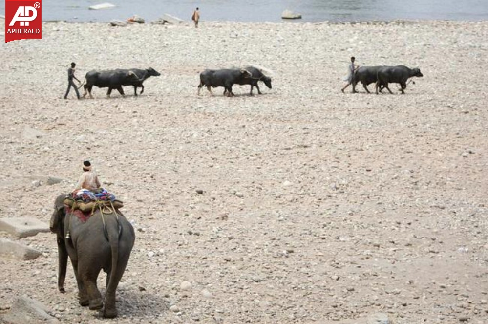 Heat Wave Scorches North India