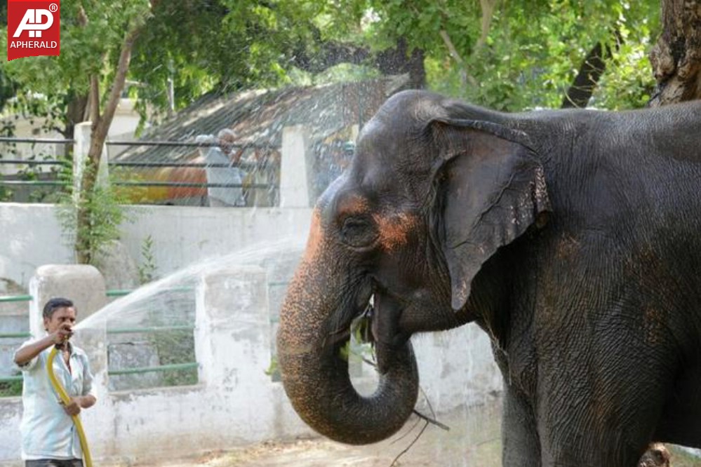 Heat Wave Scorches North India