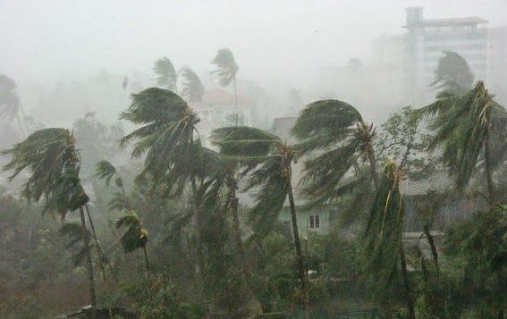 Hudhud Cyclone Effect on Vizag