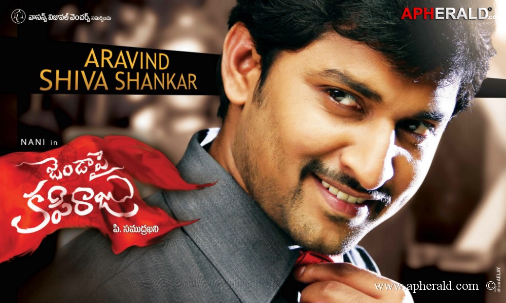 Janda Pai Kapiraju Movie Posters