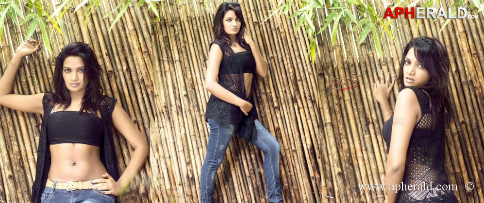 Lottery Movie Posters