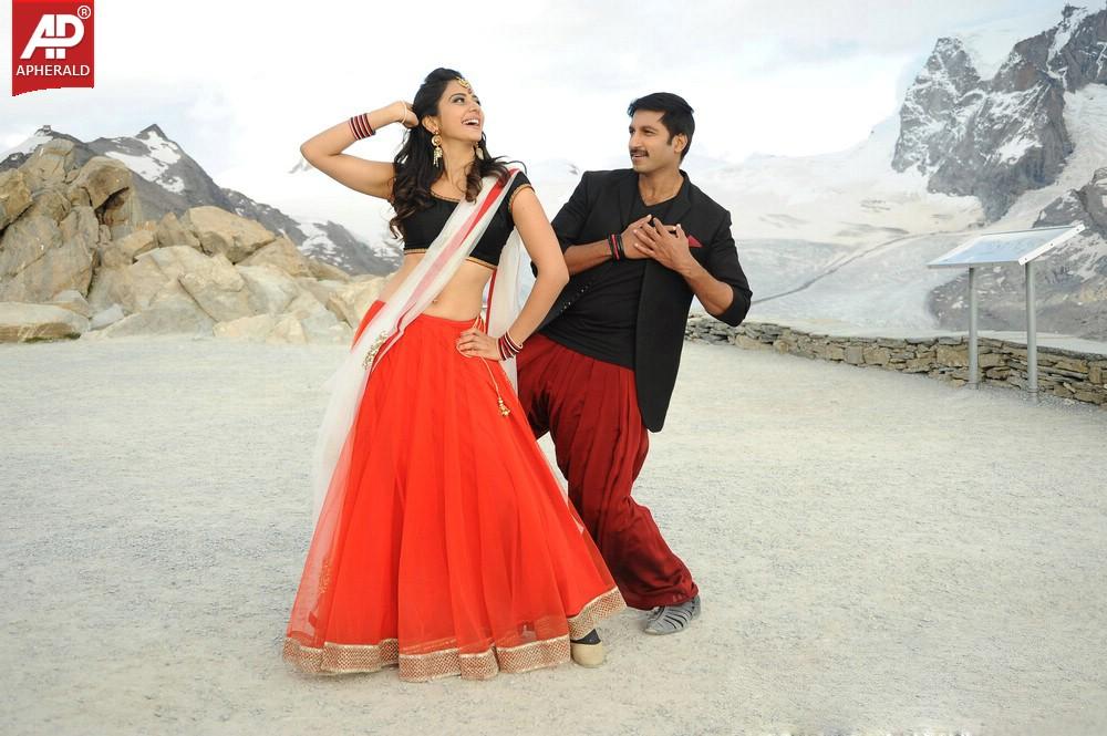 Loukyam Movie Latest Photos