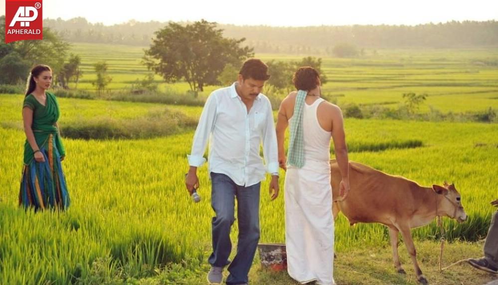 Manoharudu Movie Working Photos