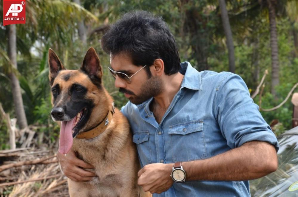 Naigal Jakkirathai Movie New Stills