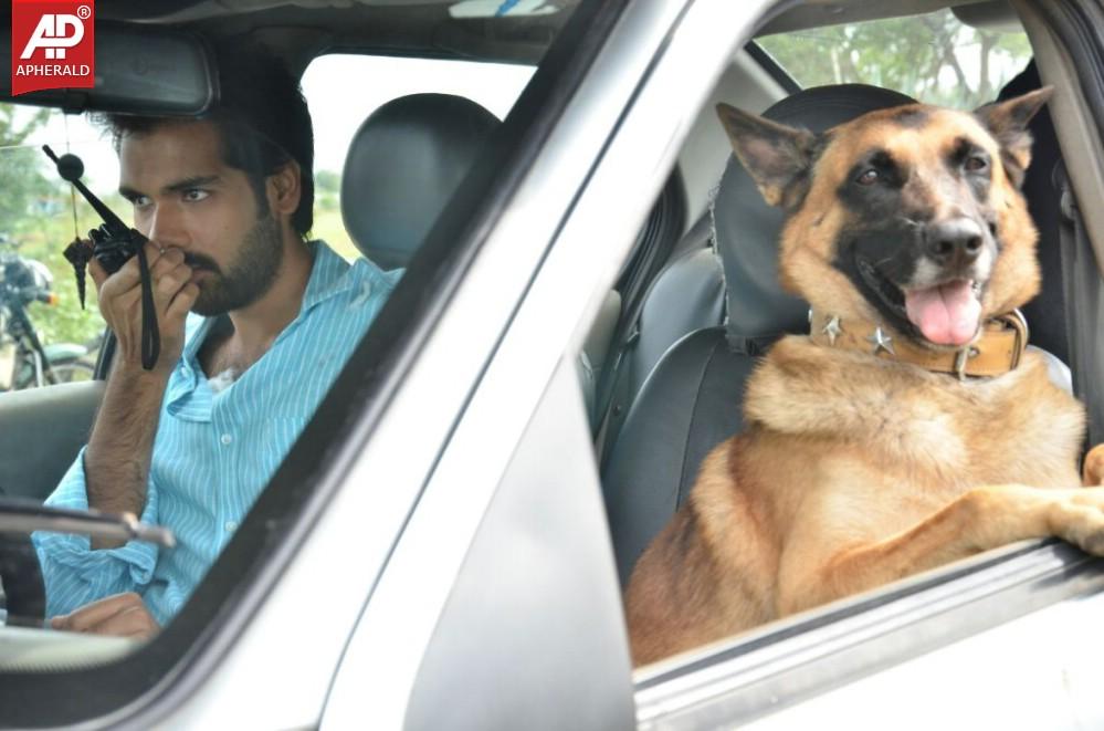 Naigal Jakkirathai Movie New Stills