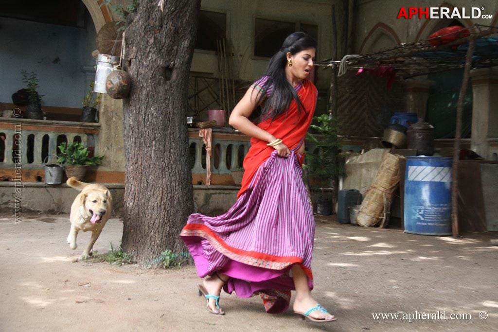 Nataraju Thane Raju Movie Photos