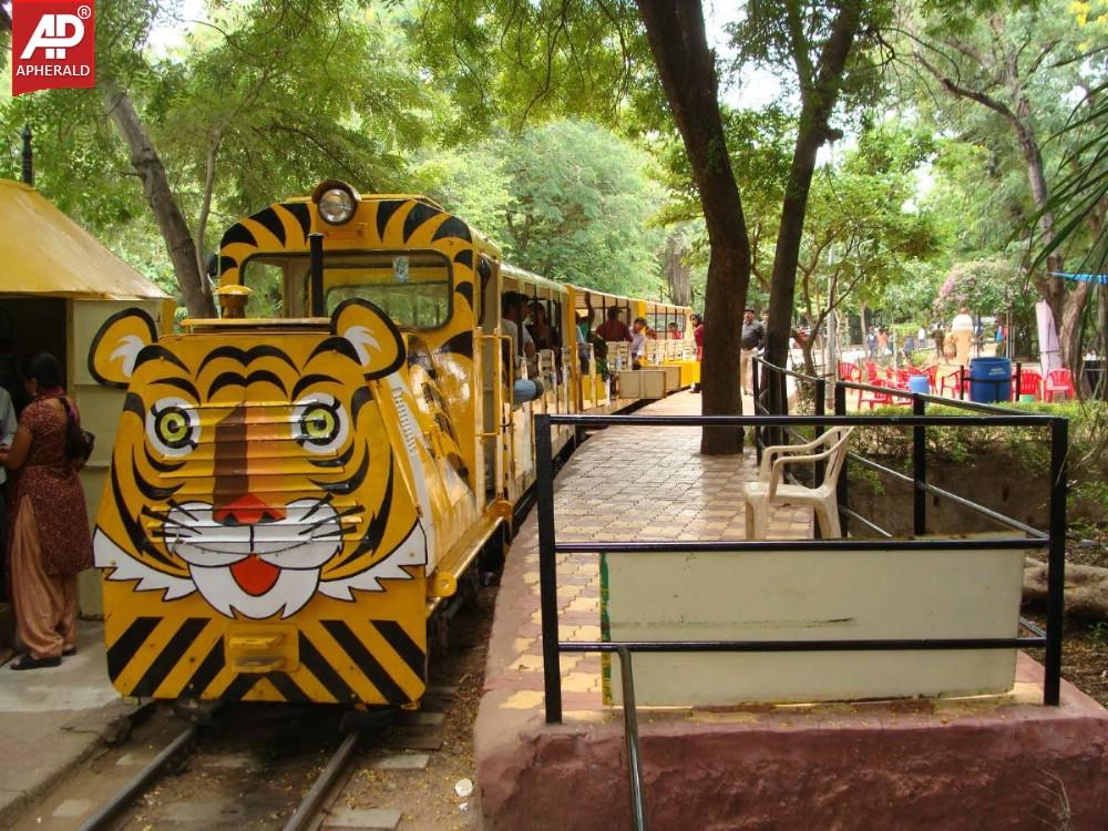 Nehru Zoological Park in Hyderabad Photos