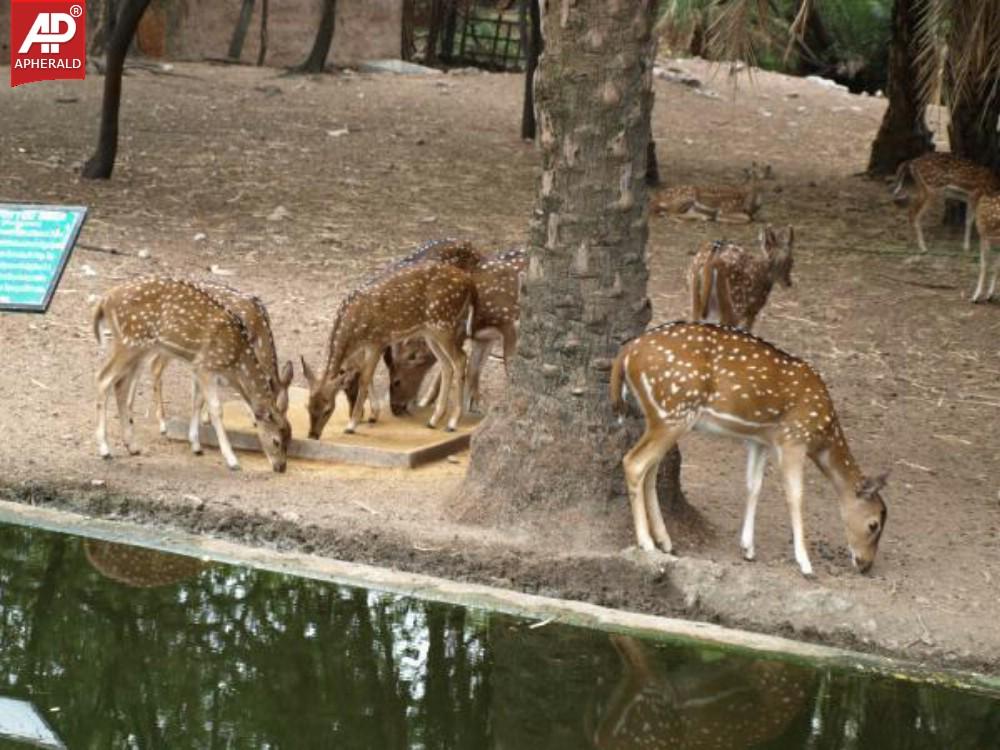 a sample image