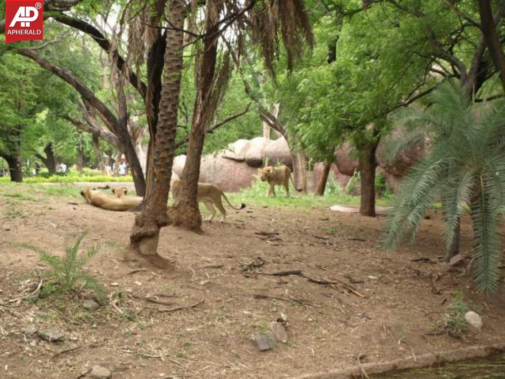 a sample image
