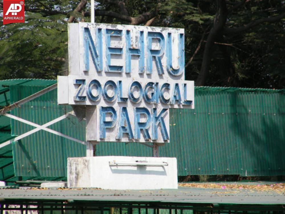 Nehru Zoological Park in Hyderabad Photos