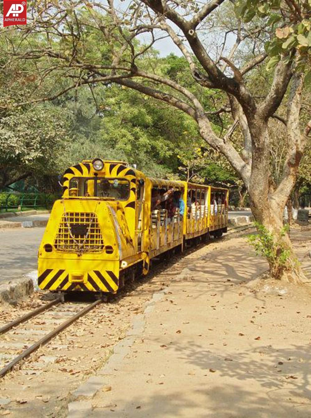 Nehru Zoological Park in Hyderabad Photos