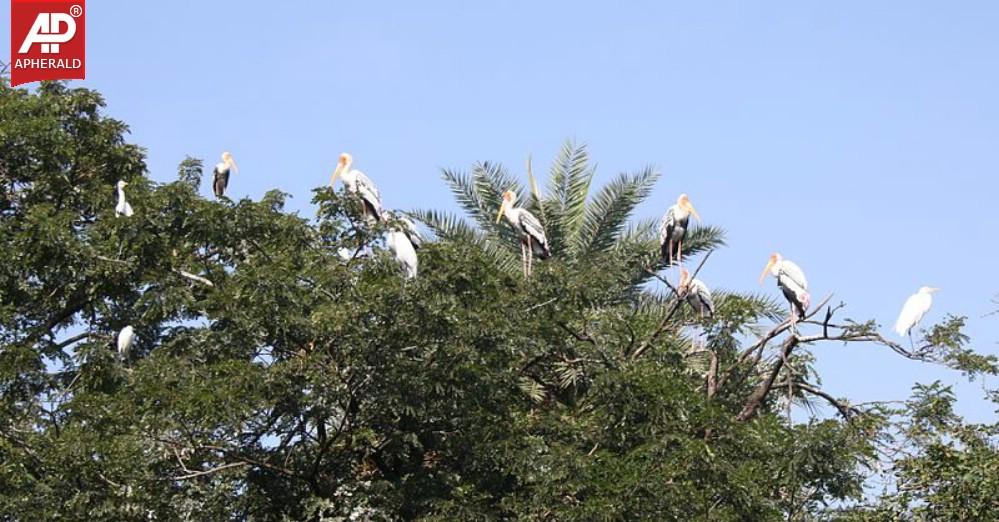 Nehru Zoological Park in Hyderabad Photos