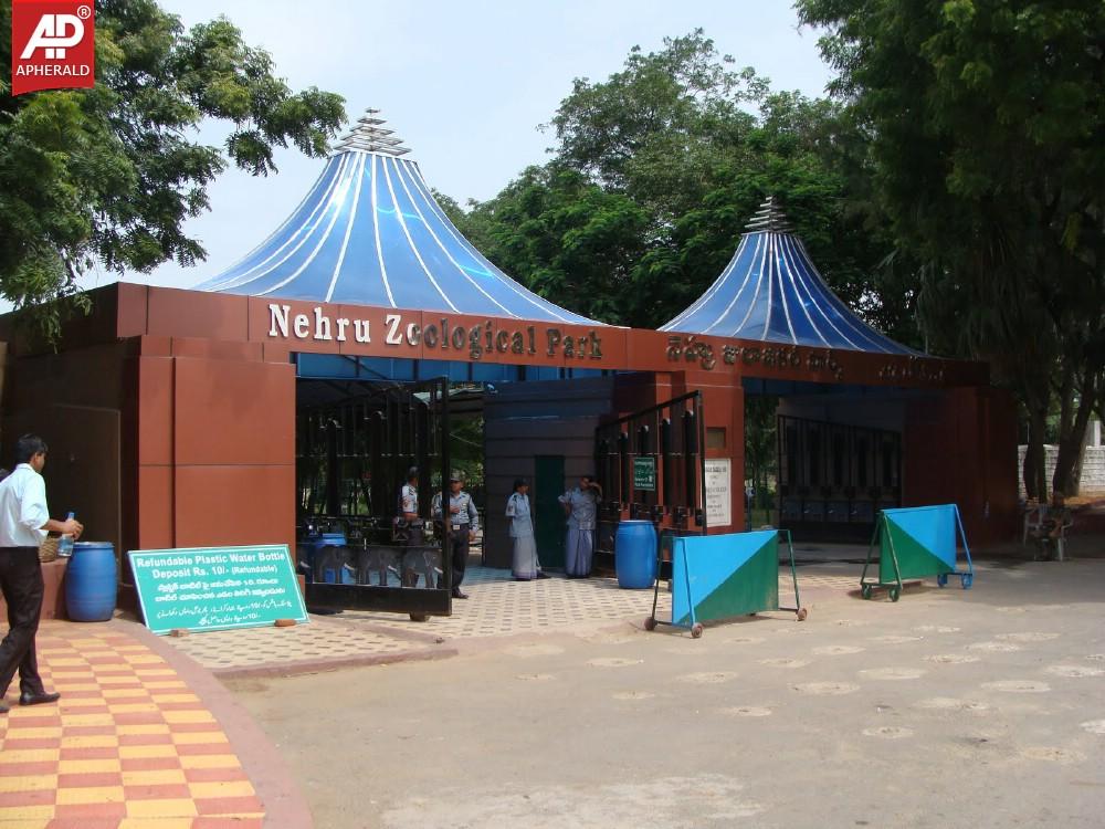 a sample image