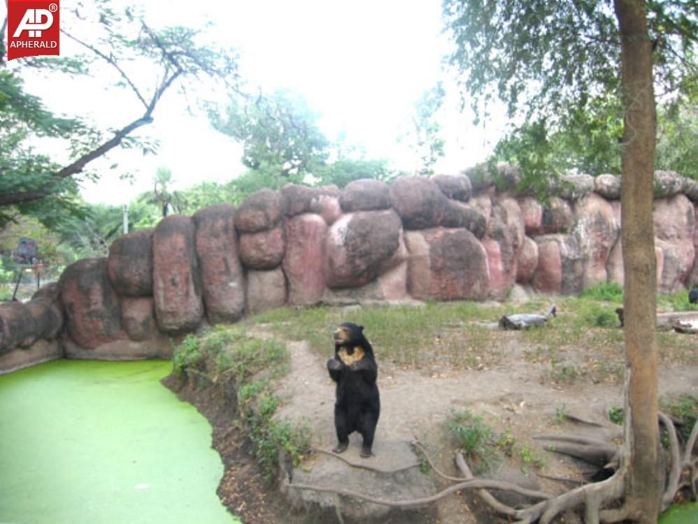 Nehru Zoological Park in Hyderabad Photos