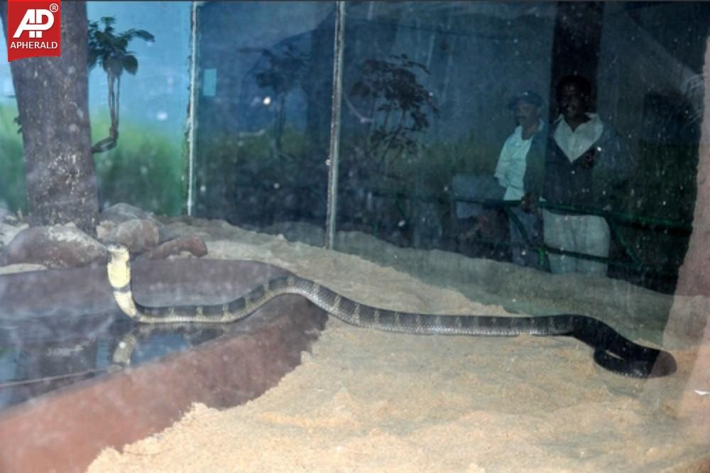 a sample image