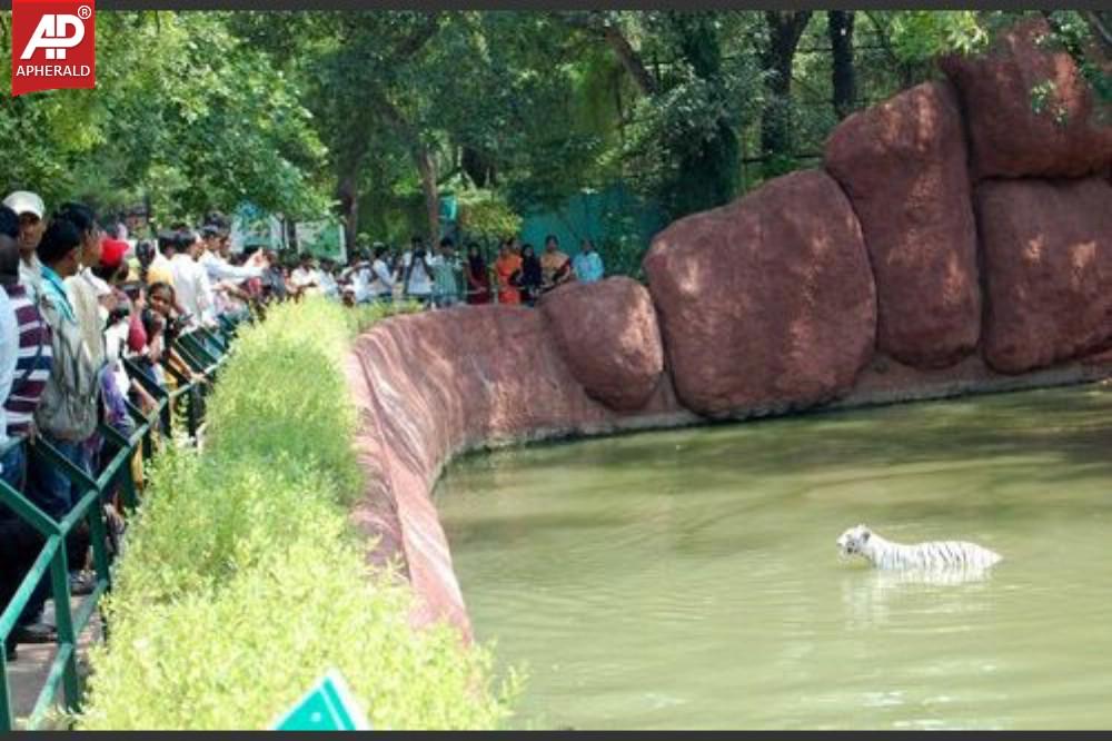 a sample image