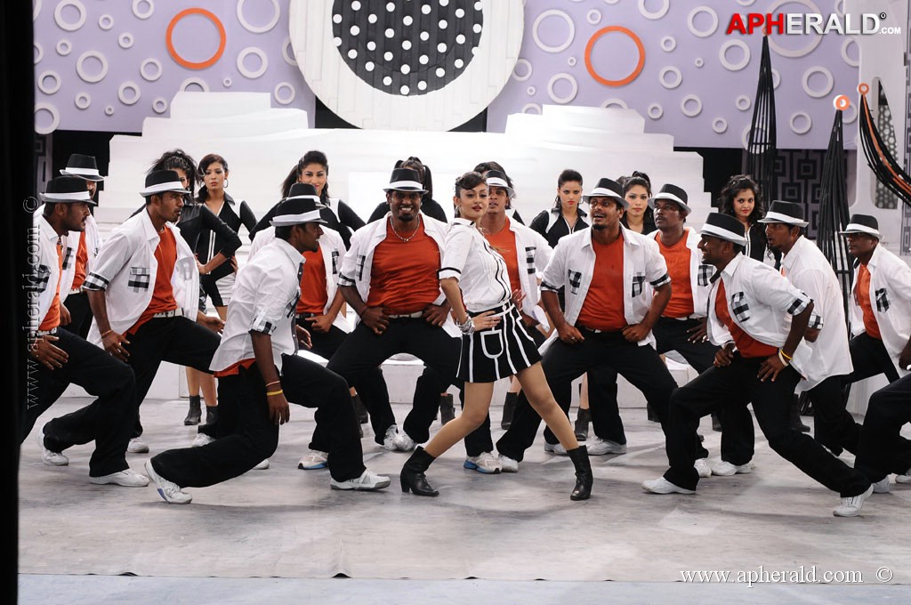 Pattathu Yaanai Movie Stills