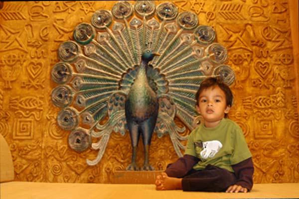 Pawan Kalyan Son Akira Photos