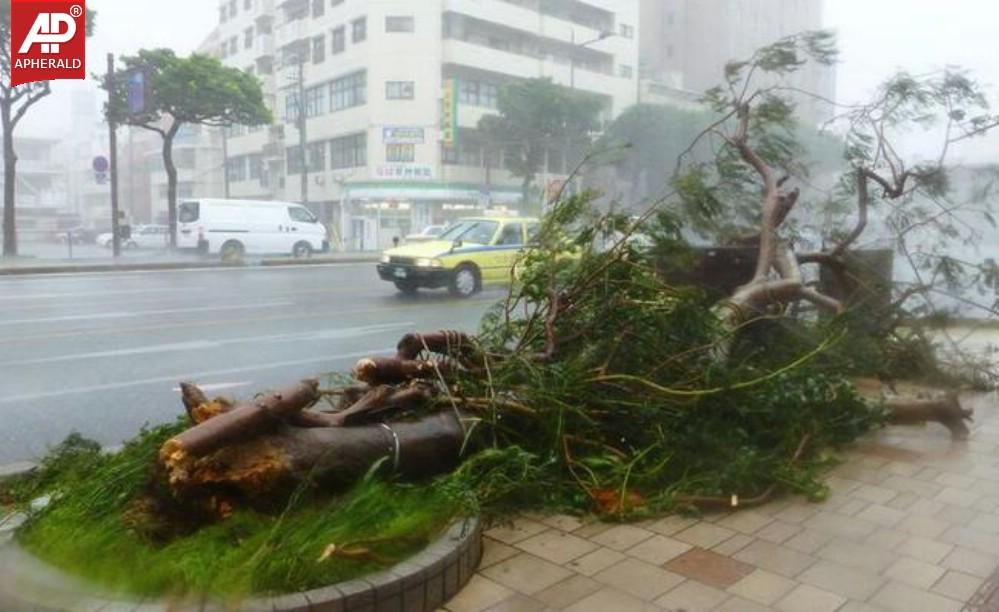 Powerful Typhoon Neoguri Lashes Japan Pics