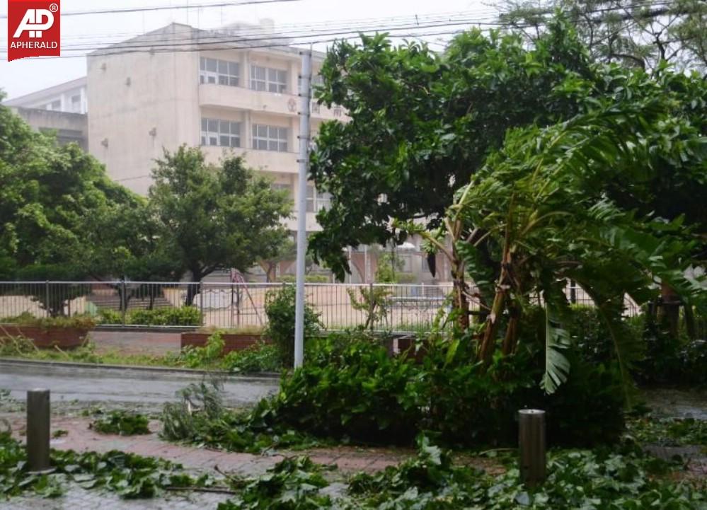 Powerful Typhoon Neoguri Lashes Japan Pics