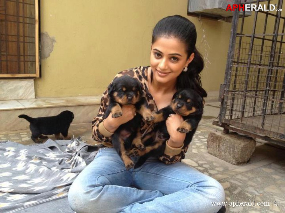 Priyamani Exclusive Unseen Photos