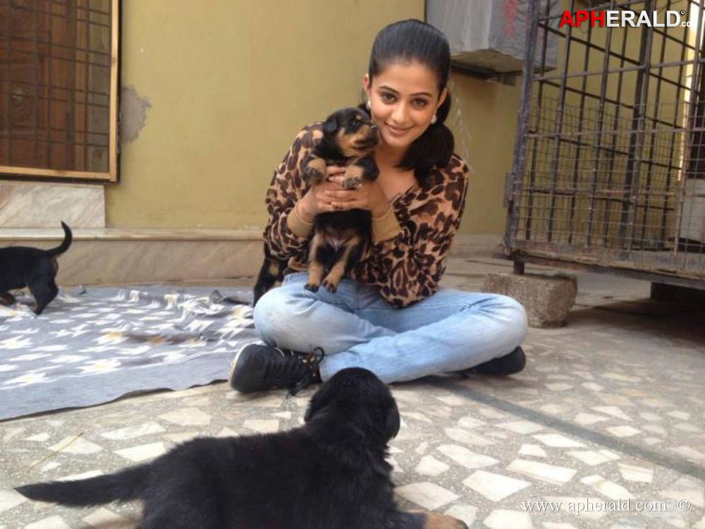 Priyamani Exclusive Unseen Photos