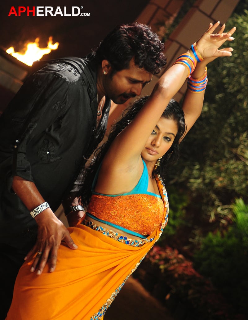 Priyamani Hot Stills in Tikka Movie