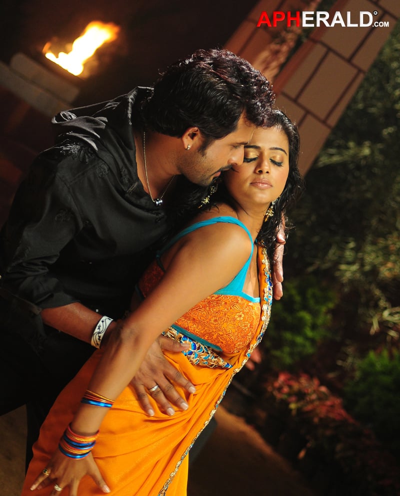 Priyamani Hot Stills in Tikka Movie